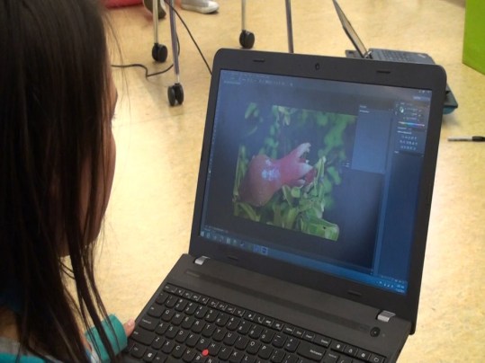 00689.MTS.00_00_05_11.Still001